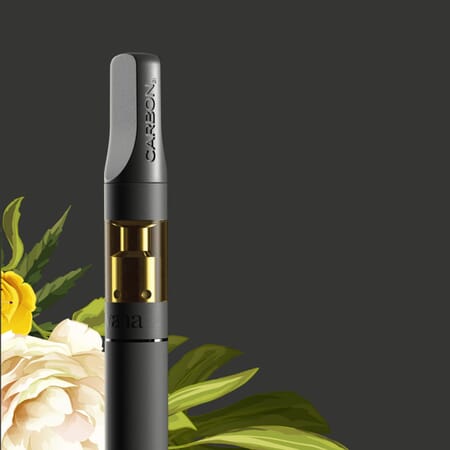 cannalope haze terpenes